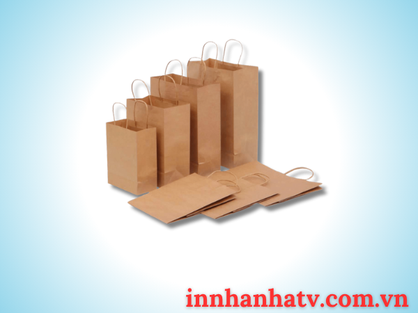 Túi Giấy Thời Trang 